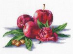 Apples And Hazelnuts (image for) Apples And Hazelnuts